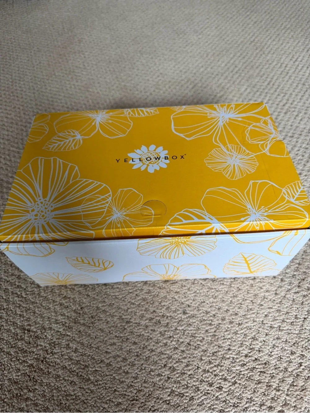 NIB Yellow Box Alora Platform Slides